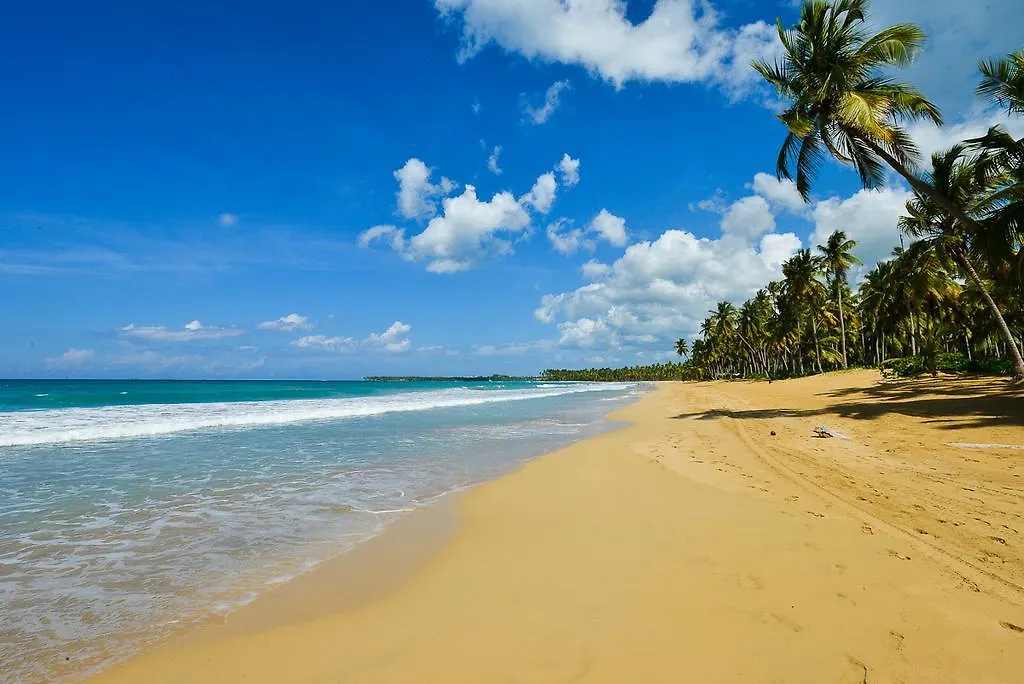 Aligio Beachfront Paradise Las Terrenas Appartement